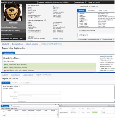Screenshot showing new registration pages